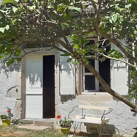 Chez Mialaret Bed & Breakfast Tourniac Ngoại thất bức ảnh